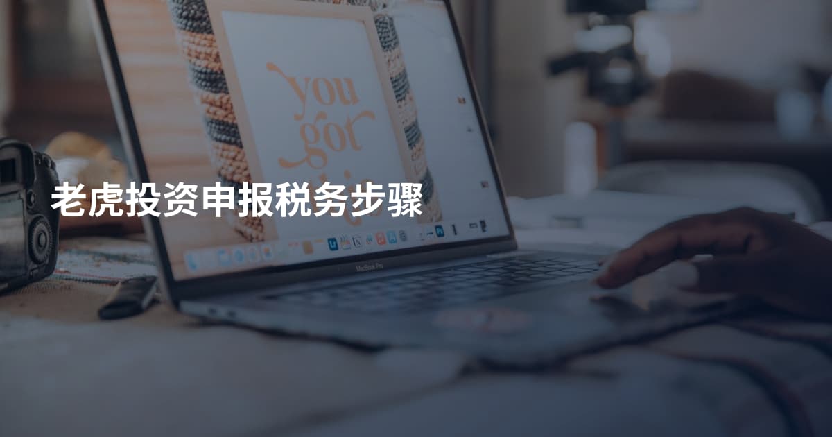 老虎投资申报税务步骤