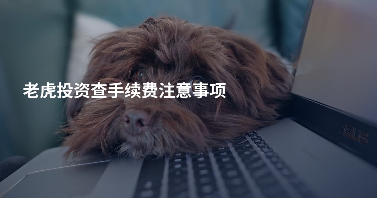 老虎投资查手续费注意事项