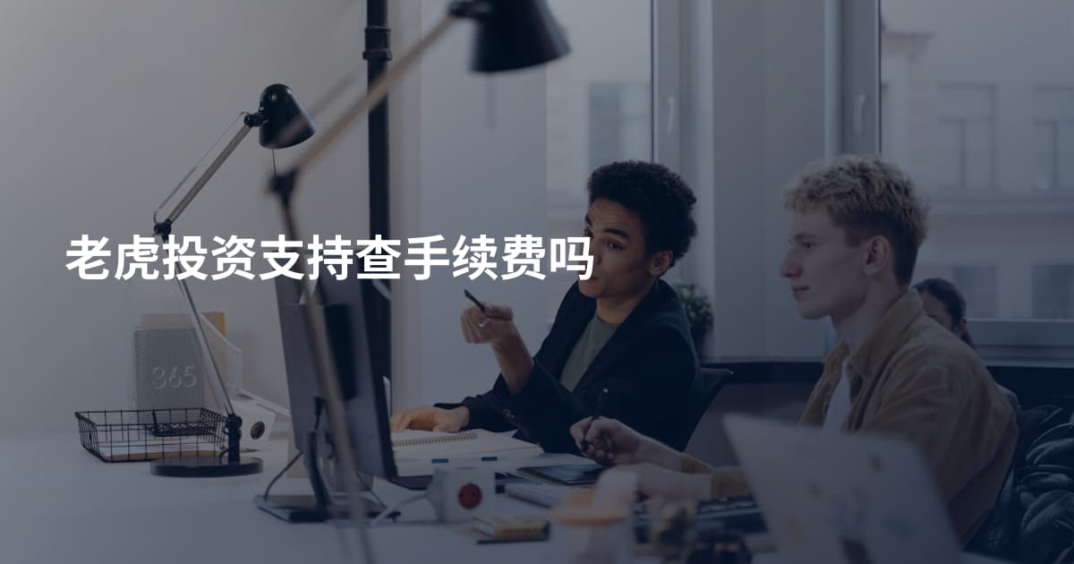老虎投资支持查手续费吗