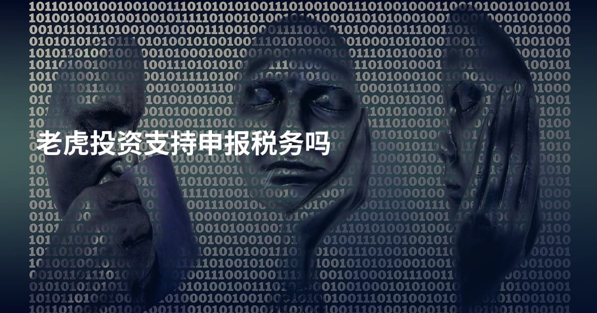老虎投资支持申报税务吗
