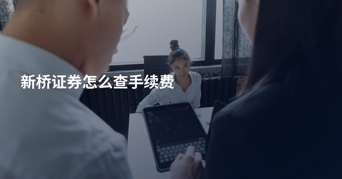 新桥证券怎么查手续费