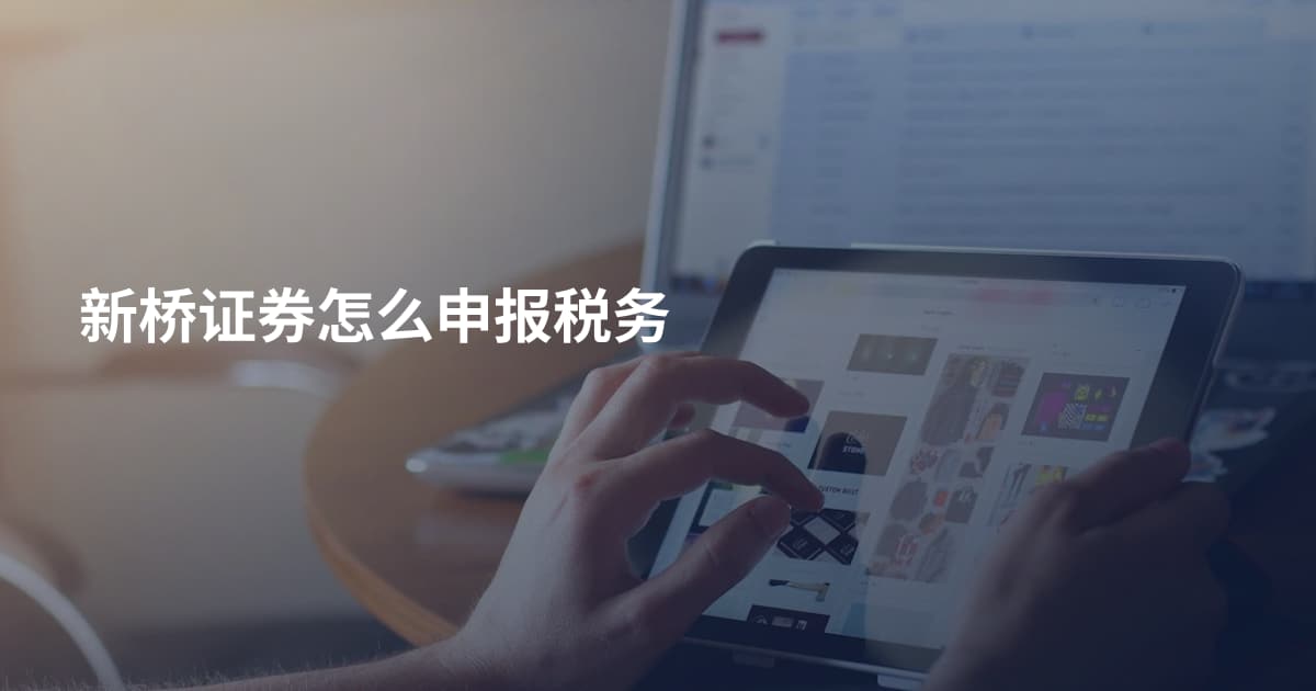 新桥证券怎么申报税务