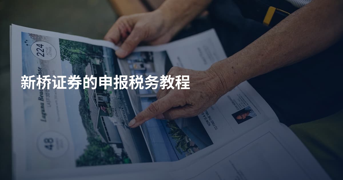 新桥证券的申报税务教程