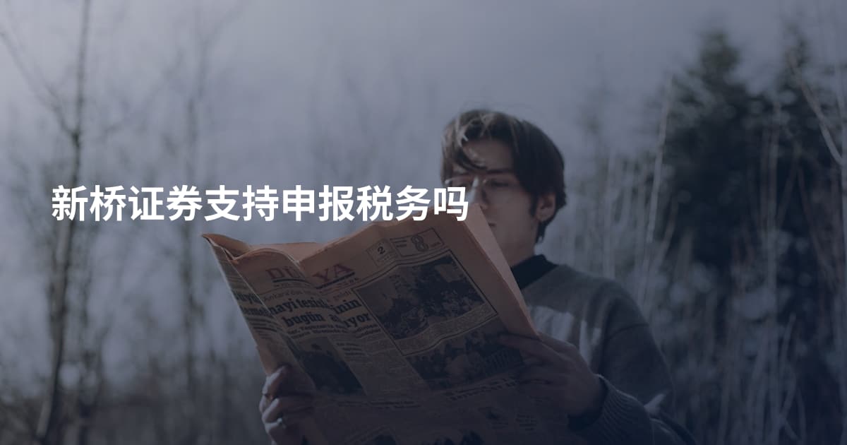 新桥证券支持申报税务吗