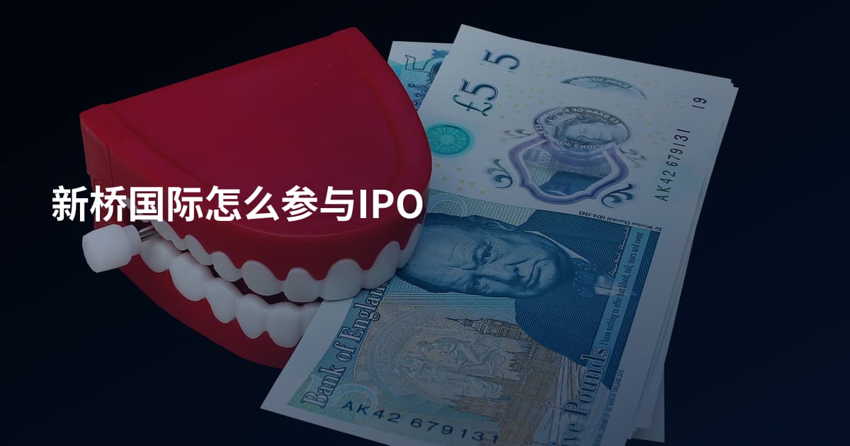 新桥国际怎么参与IPO