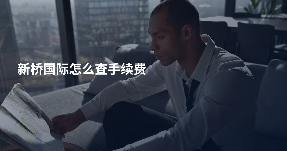 新桥国际怎么查手续费