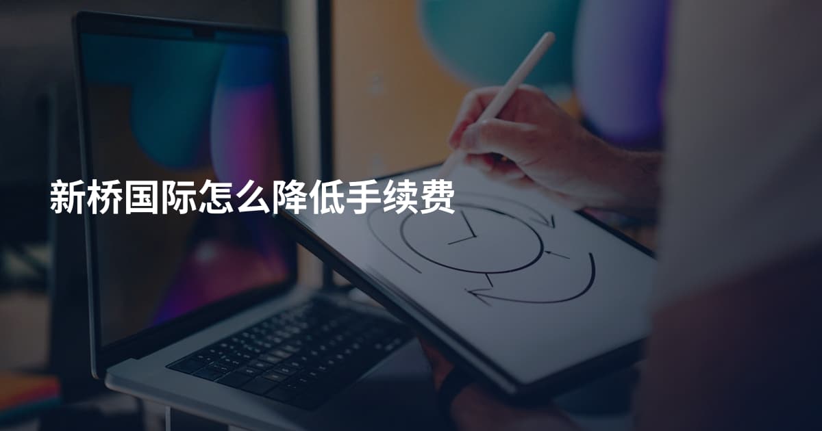 新桥国际怎么降低手续费