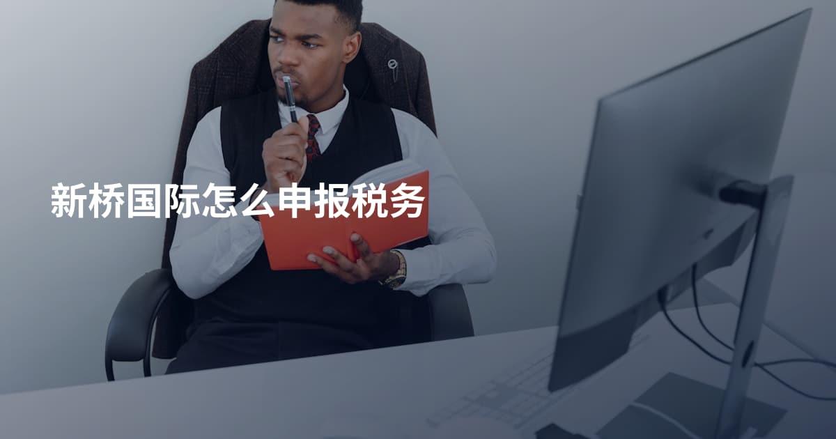 新桥国际怎么申报税务