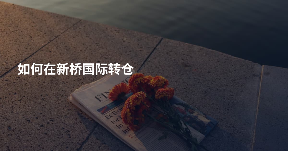 如何在新桥国际转仓