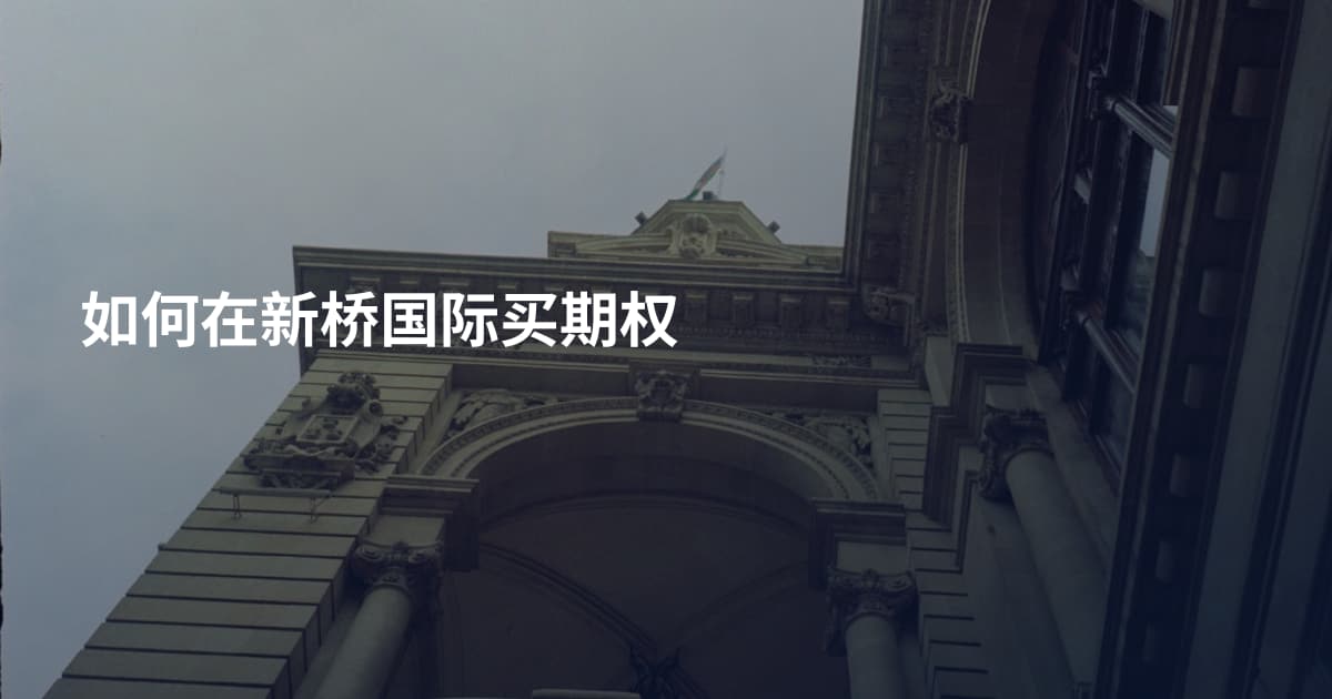 如何在新桥国际买期权