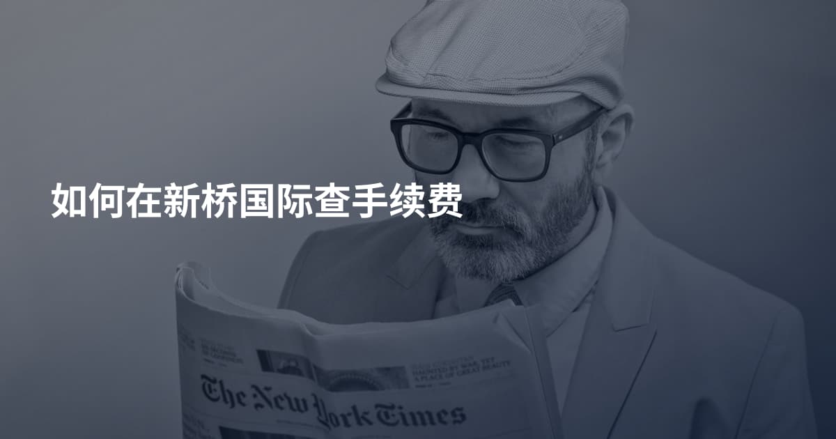 如何在新桥国际查手续费
