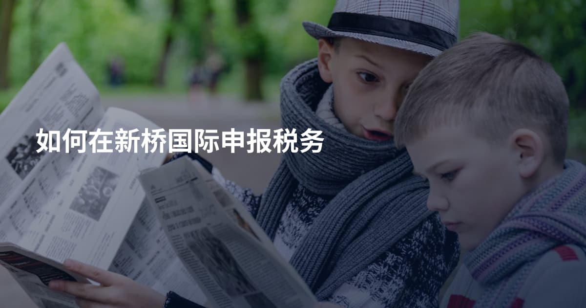 如何在新桥国际申报税务