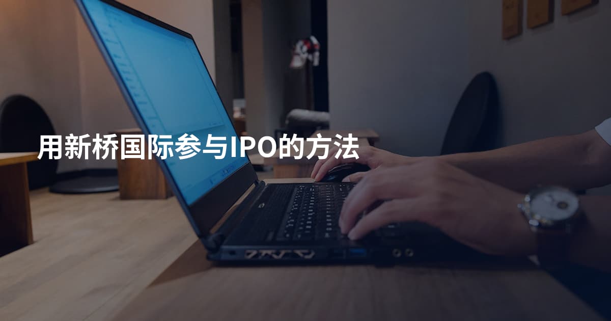 用新桥国际参与IPO的方法
