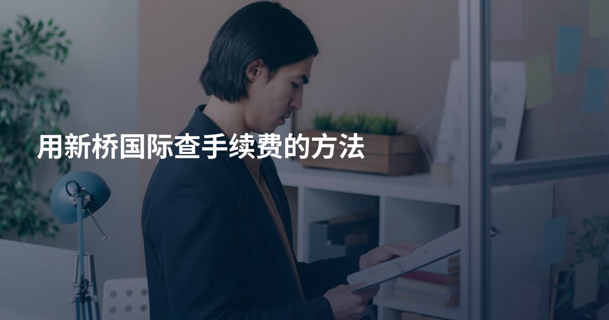 用新桥国际查手续费的方法