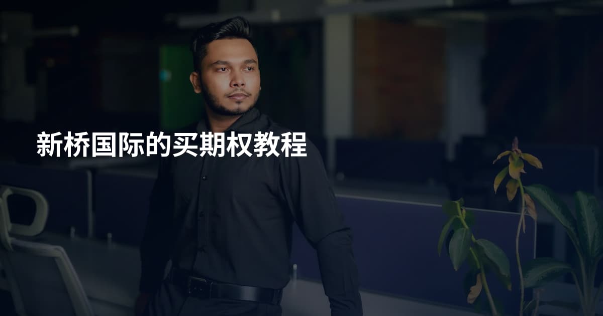 新桥国际的买期权教程