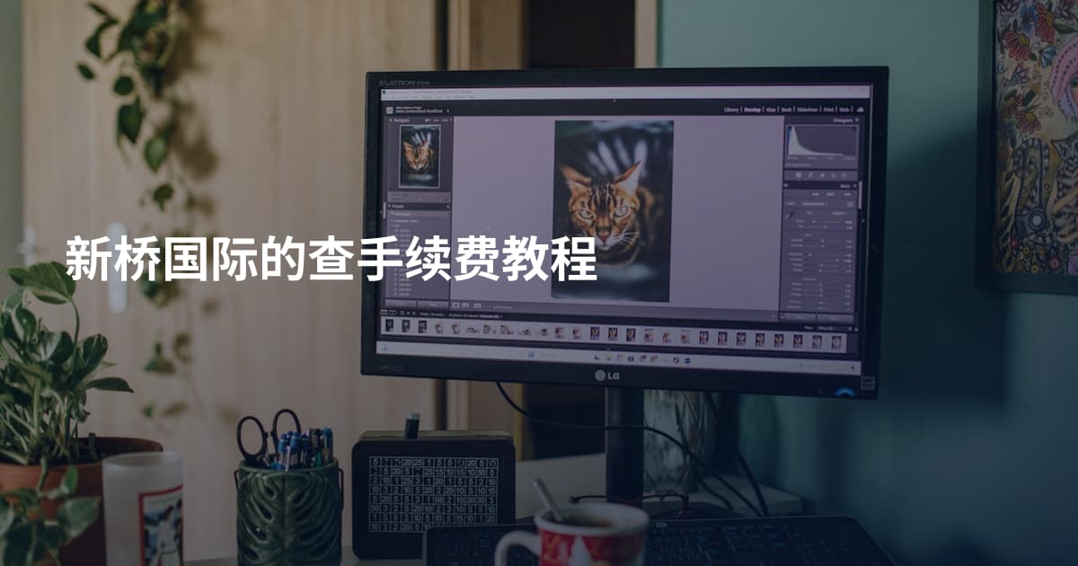 新桥国际的查手续费教程