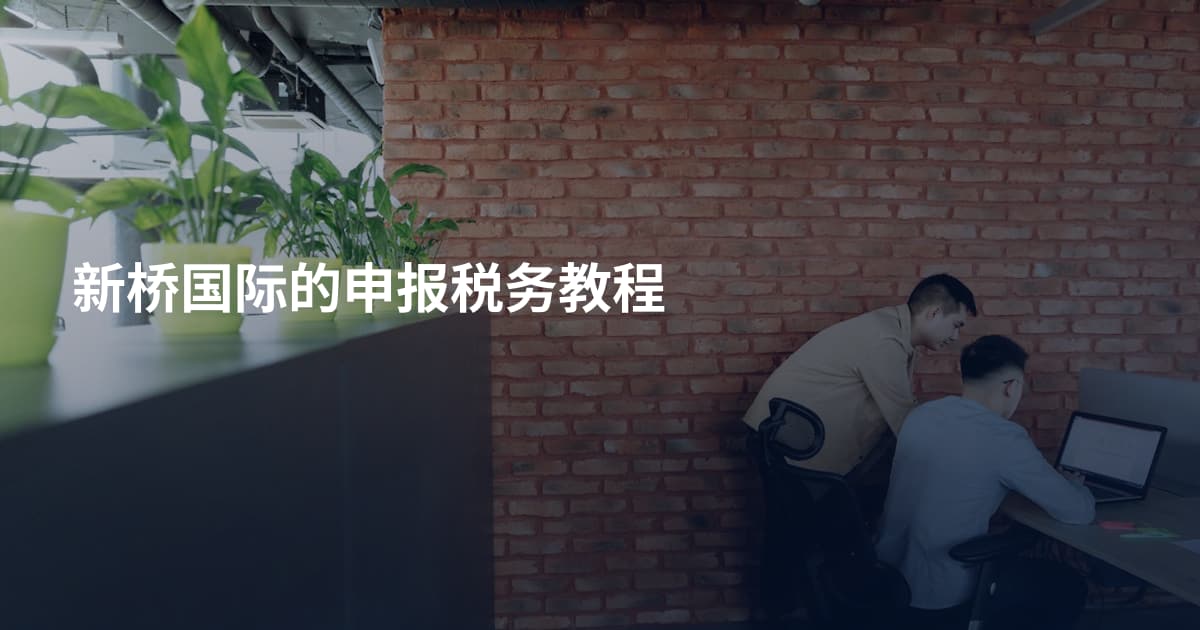 新桥国际的申报税务教程