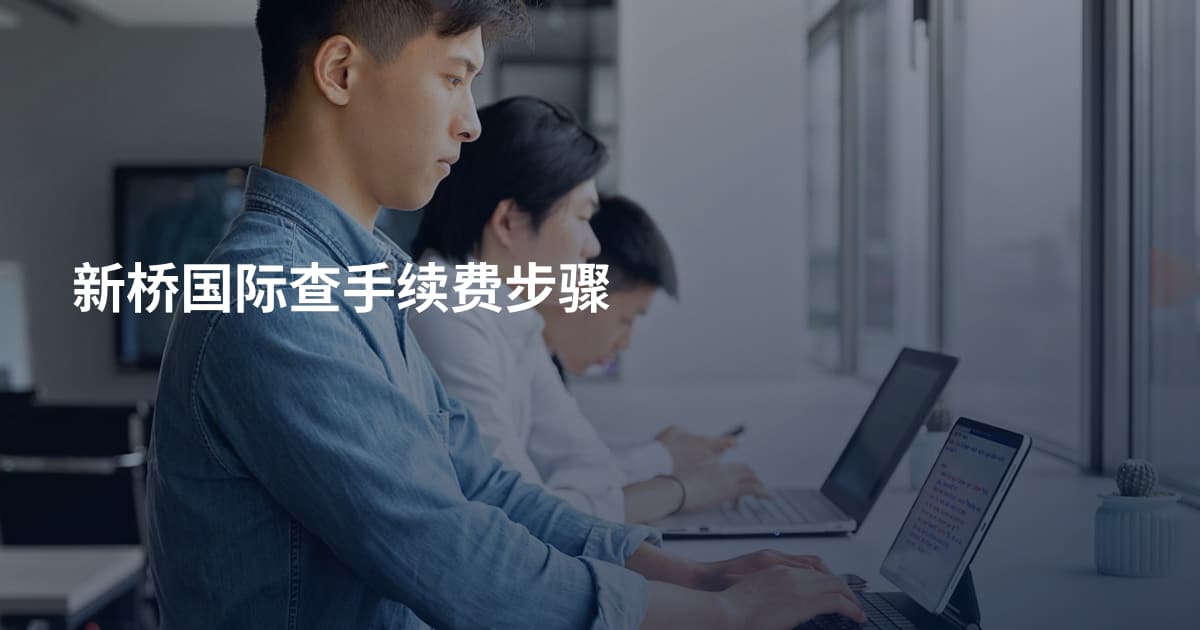 新桥国际查手续费步骤