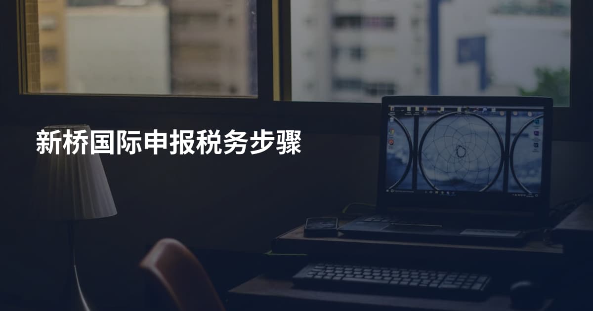 新桥国际申报税务步骤