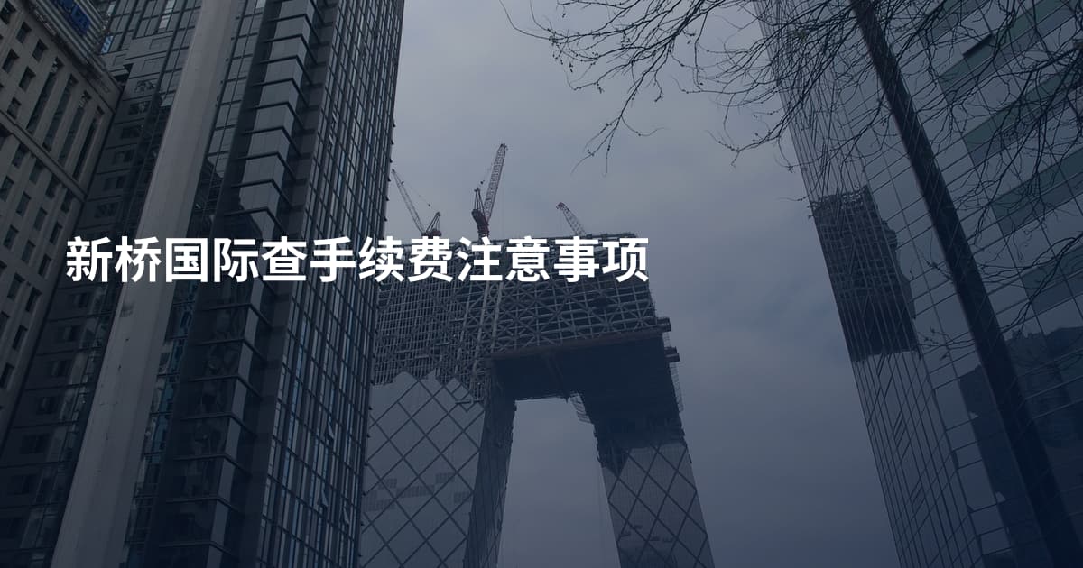 新桥国际查手续费注意事项