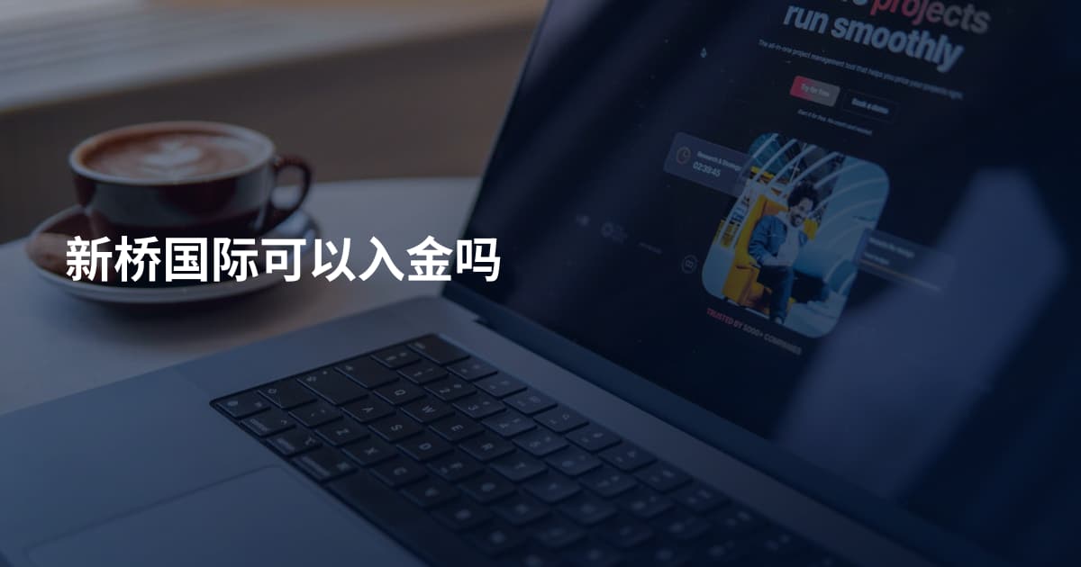 新桥国际可以入金吗