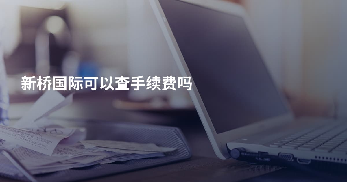 新桥国际可以查手续费吗