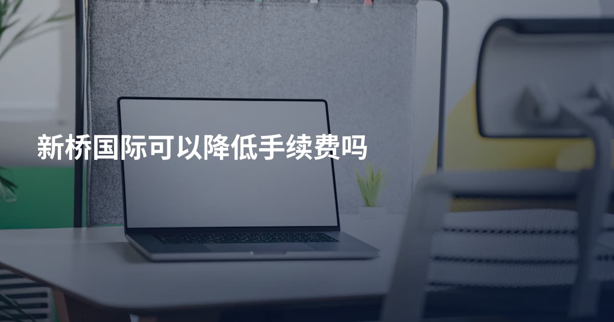 新桥国际可以降低手续费吗