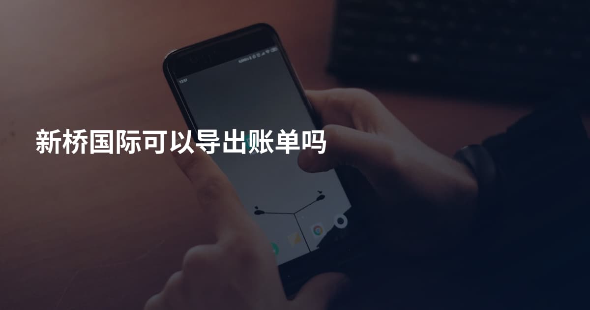 新桥国际可以导出账单吗