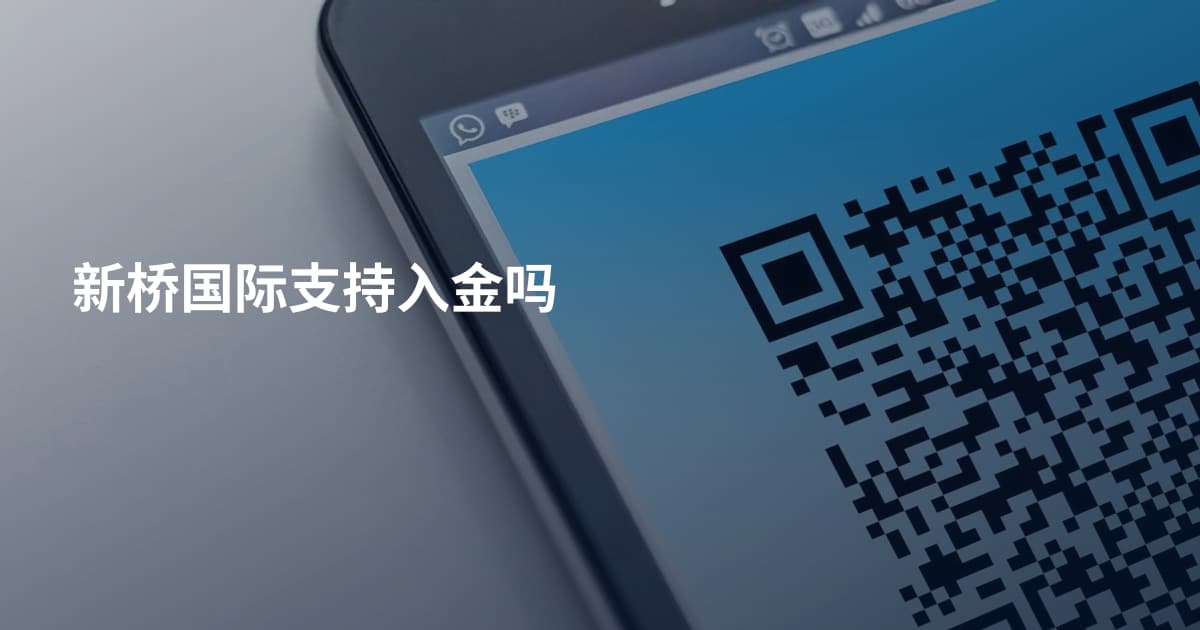 新桥国际支持入金吗