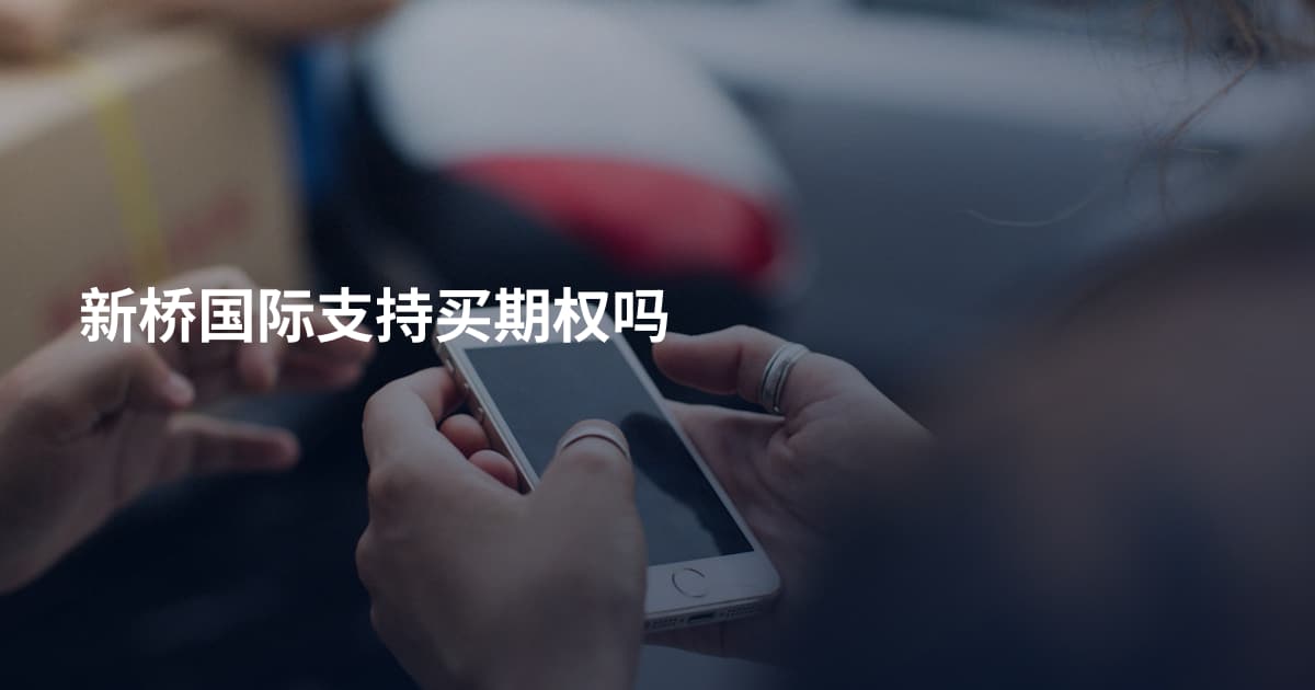 新桥国际支持买期权吗