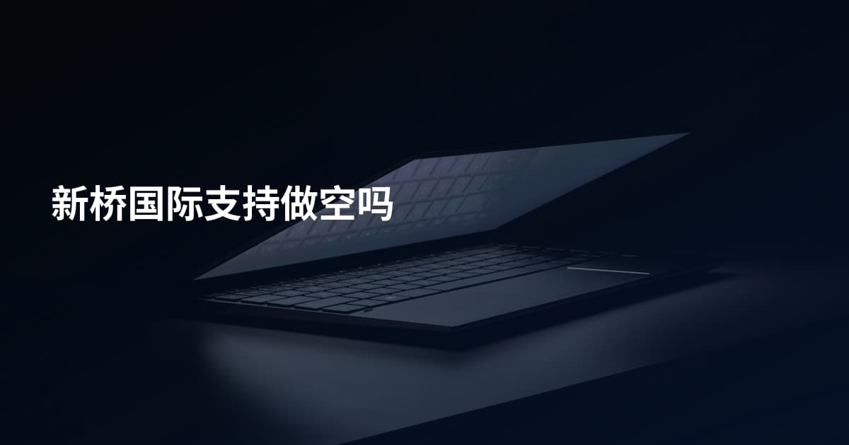 新桥国际支持做空吗