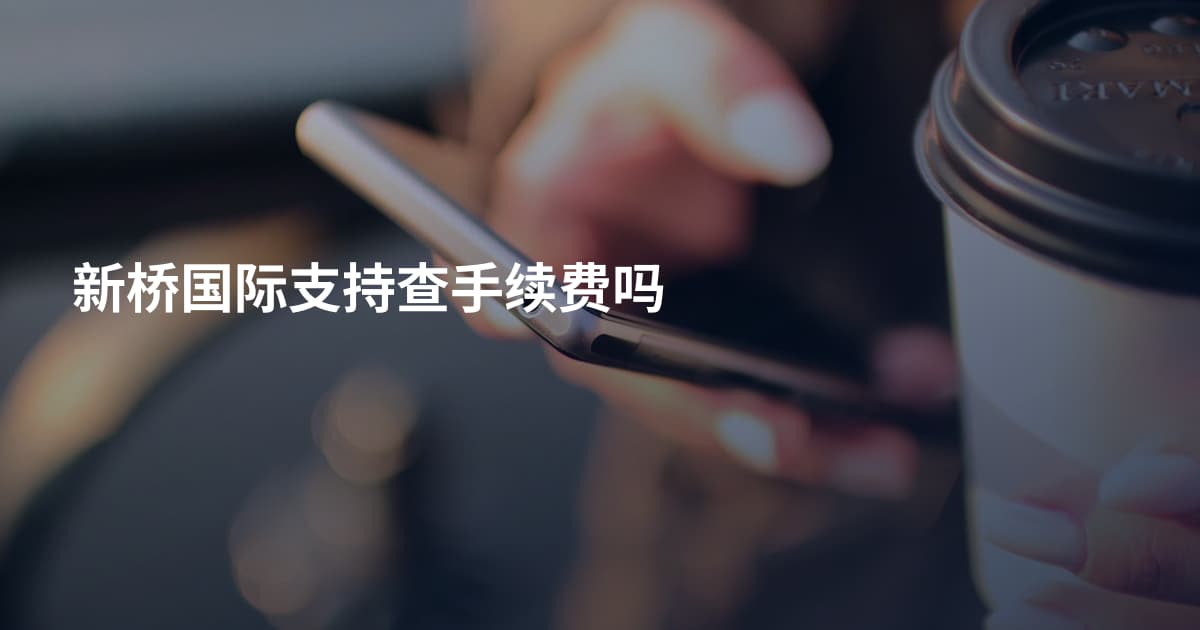 新桥国际支持查手续费吗