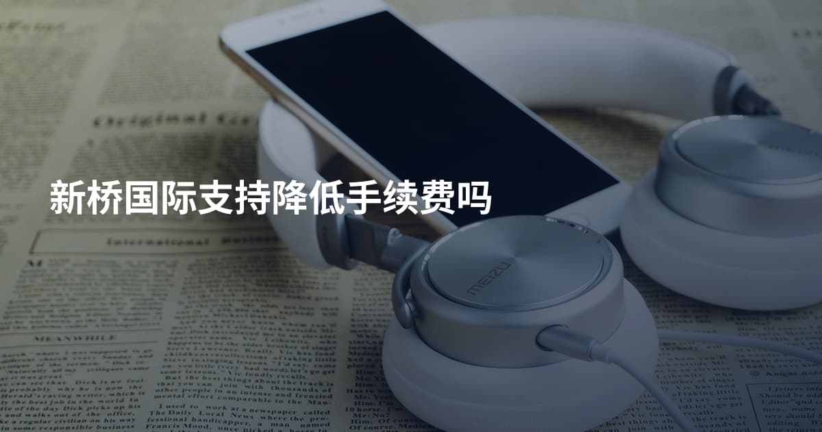 新桥国际支持降低手续费吗