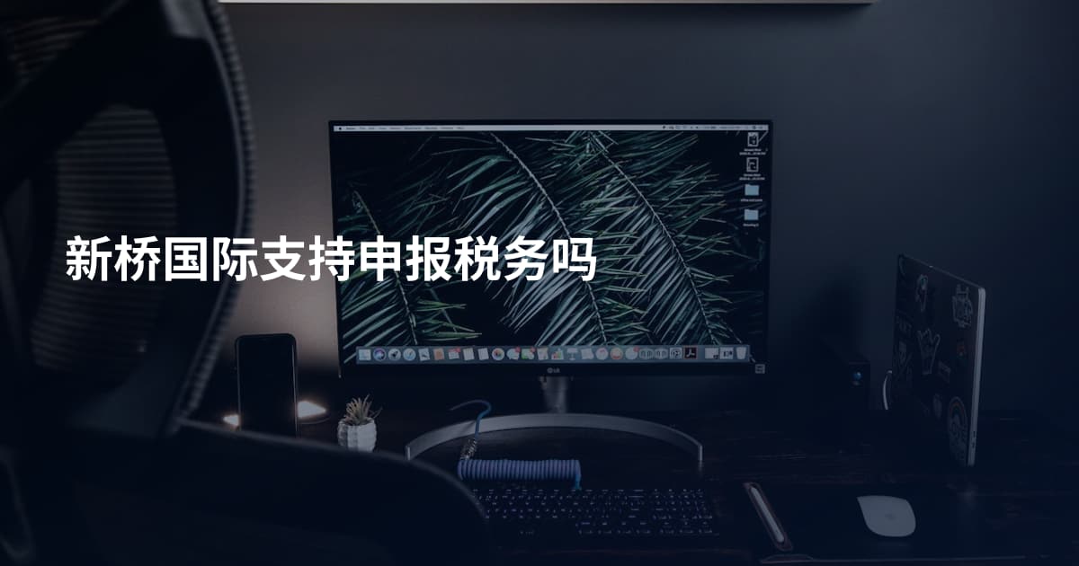 新桥国际支持申报税务吗