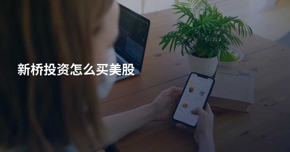 新桥投资怎么买美股
