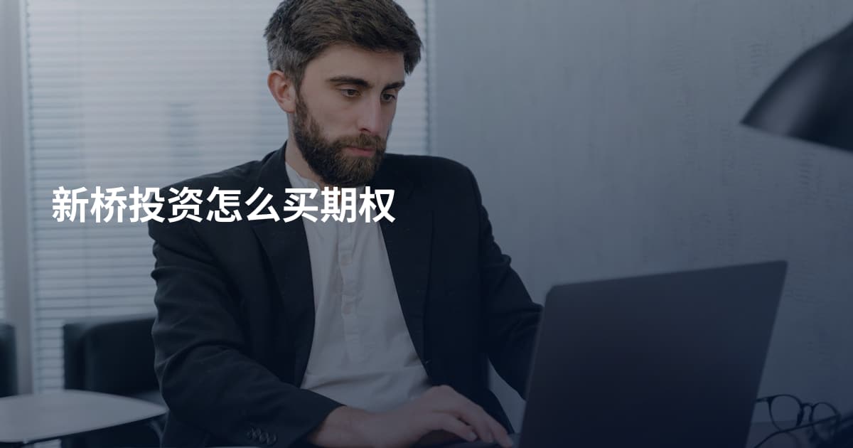 新桥投资怎么买期权
