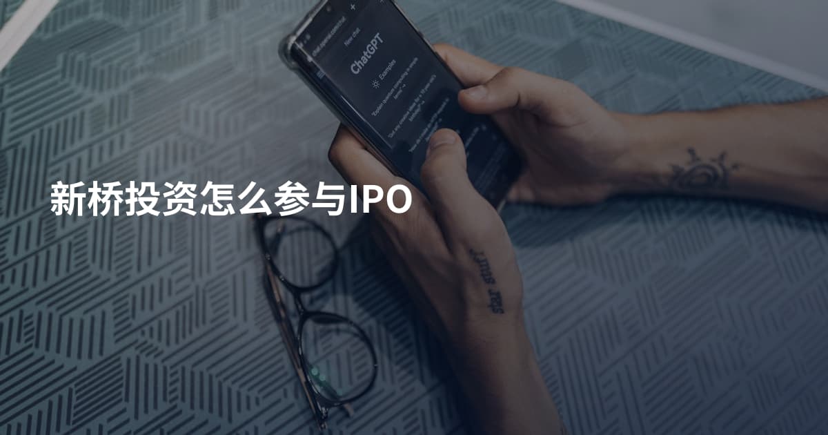 新桥投资怎么参与IPO