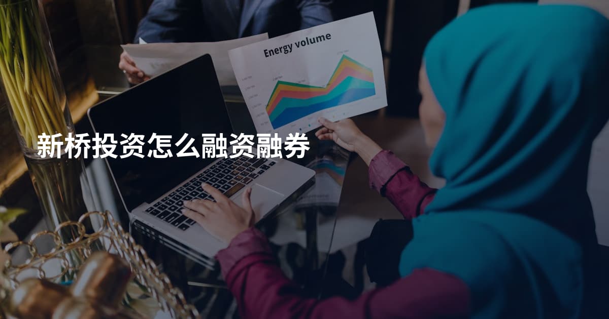 新桥投资怎么融资融券