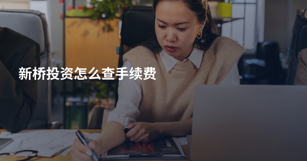 新桥投资怎么查手续费