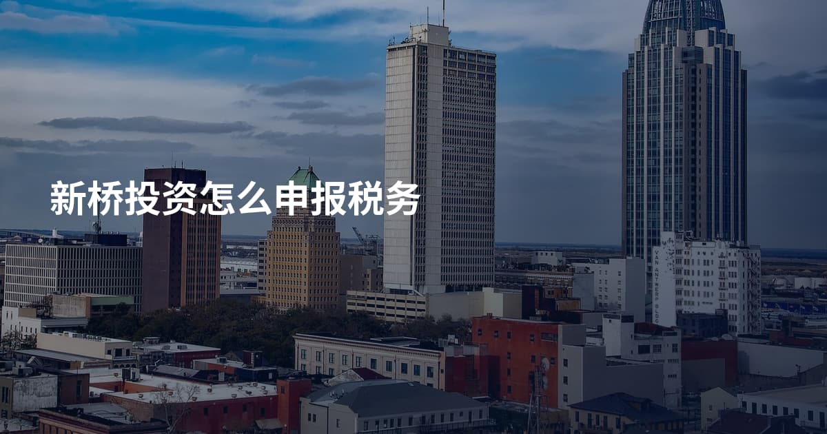 新桥投资怎么申报税务