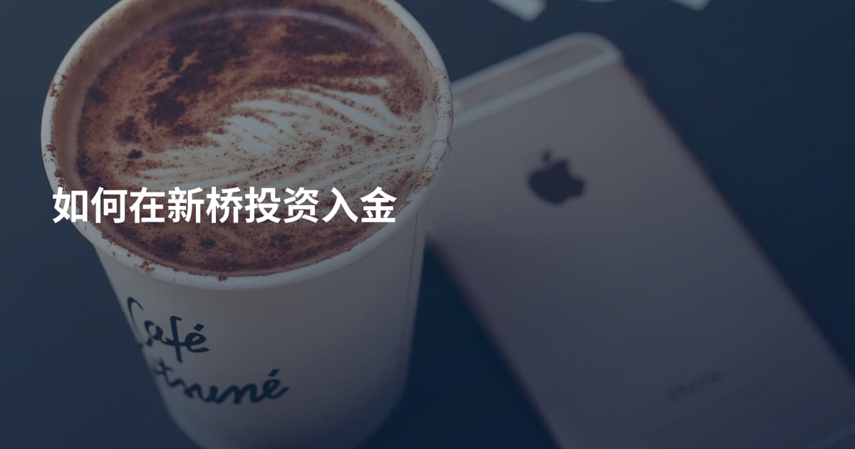 如何在新桥投资入金