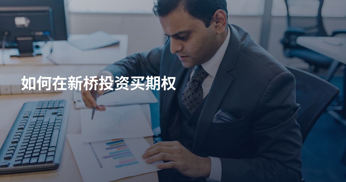 如何在新桥投资买期权