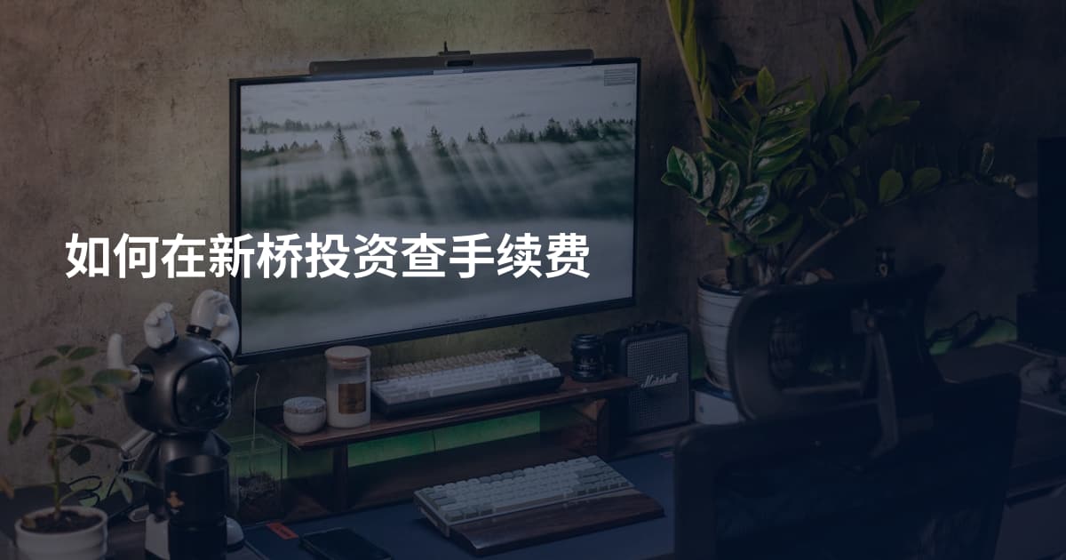 如何在新桥投资查手续费