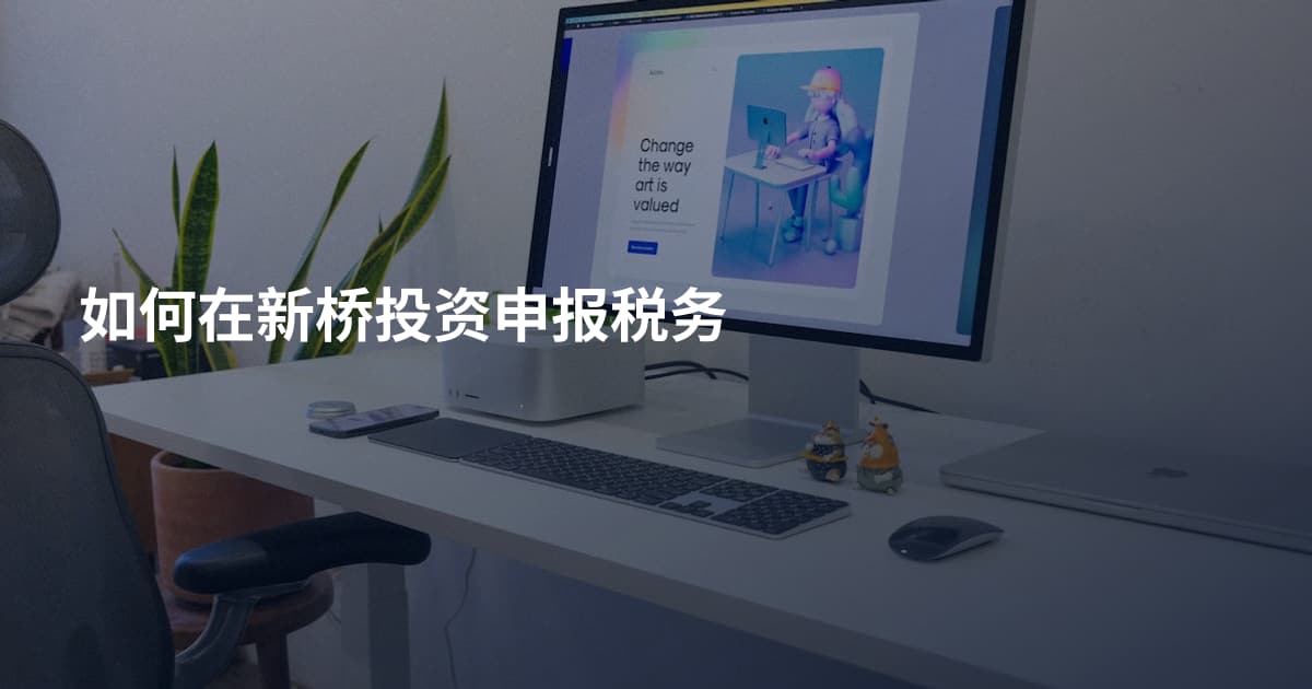 如何在新桥投资申报税务