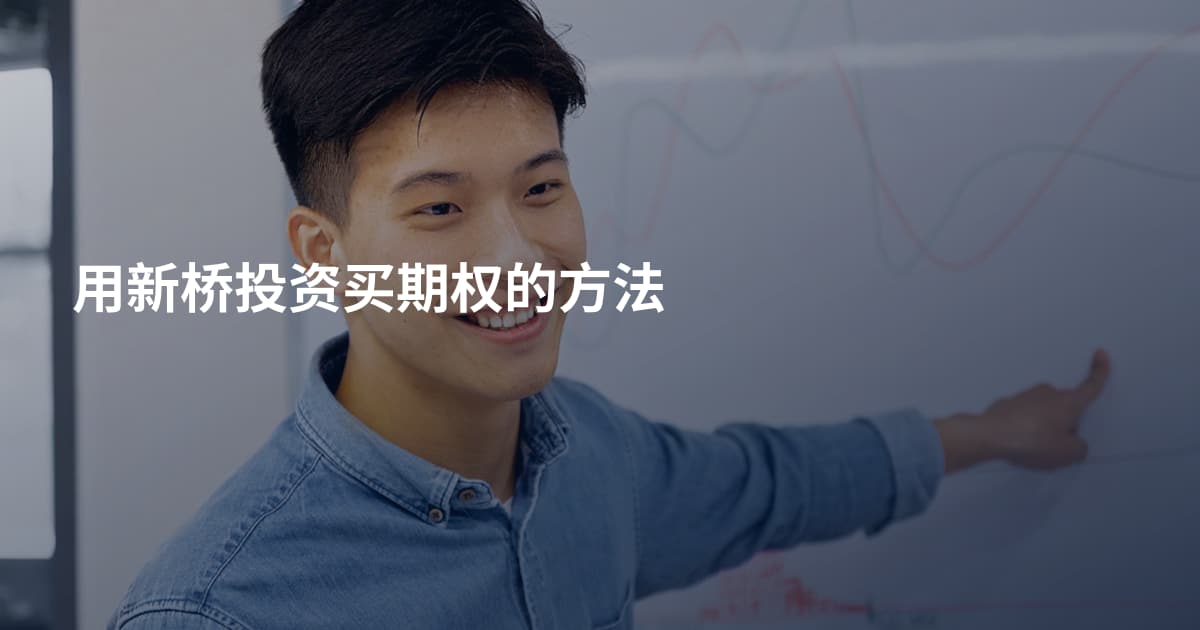 用新桥投资买期权的方法