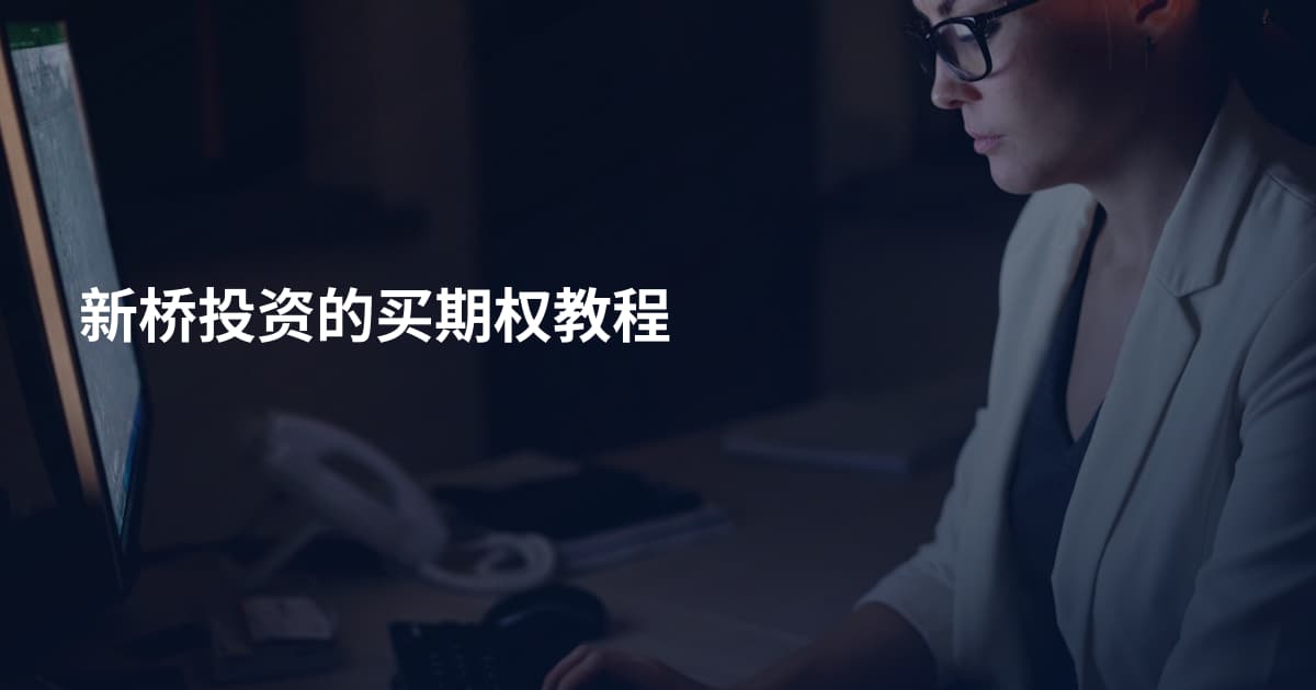 新桥投资的买期权教程