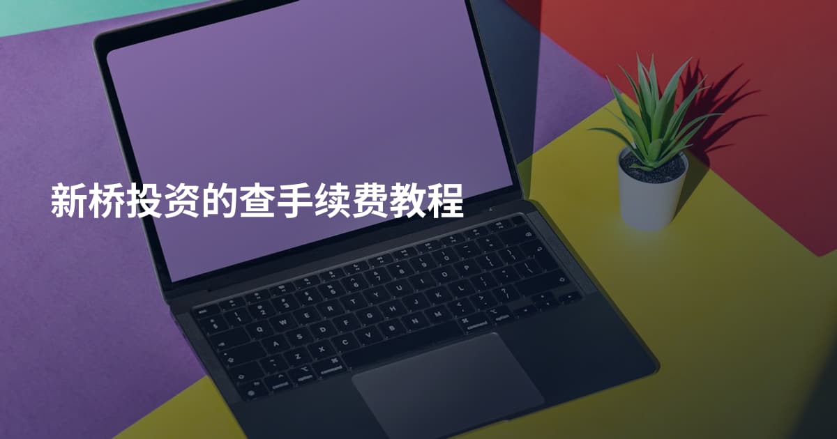 新桥投资的查手续费教程