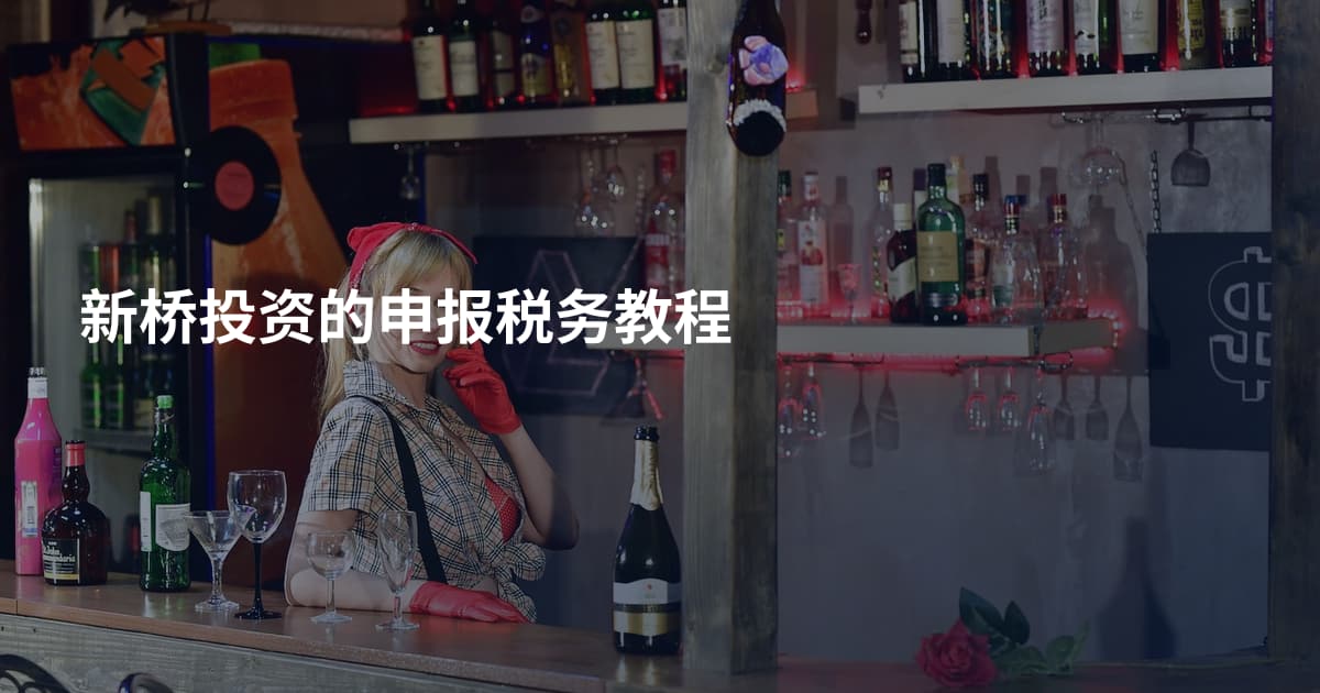 新桥投资的申报税务教程
