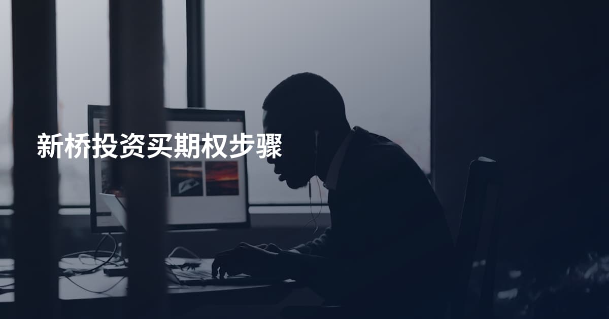 新桥投资买期权步骤