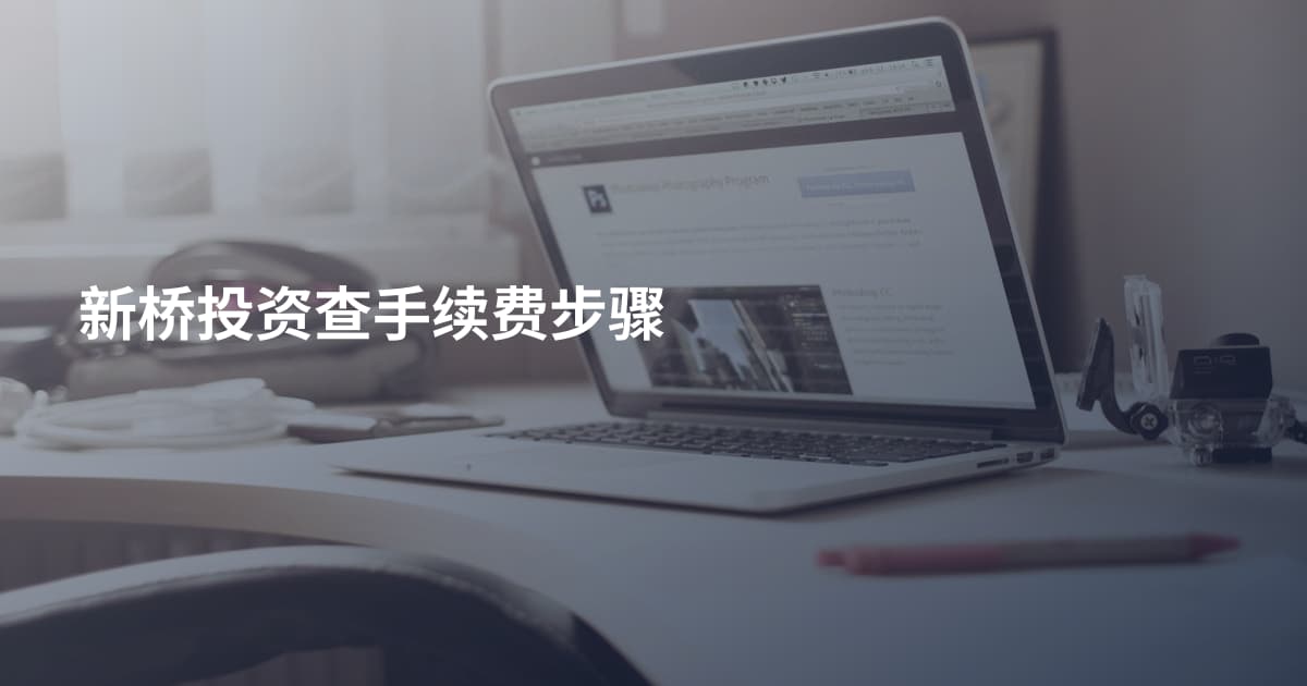 新桥投资查手续费步骤